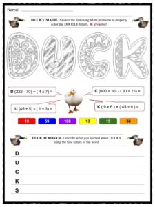 Duck Classification Chart