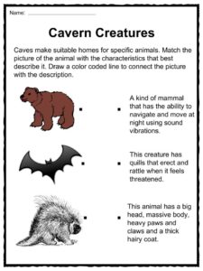 Cave Facts, Worksheets, Information & History For Kids