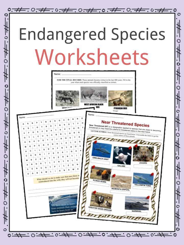 Endangered Species Worksheets