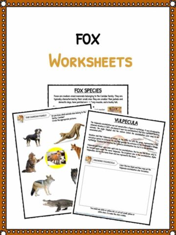 FOX Facts & Worksheet