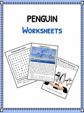 Penguin Facts & Worksheets