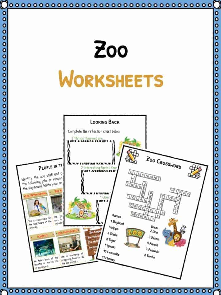 zoo facts worksheets for kids