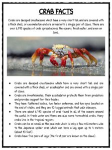 Crab Facts and Worksheets For Kids