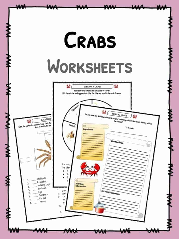 Crab Facts and Worksheets For Kids