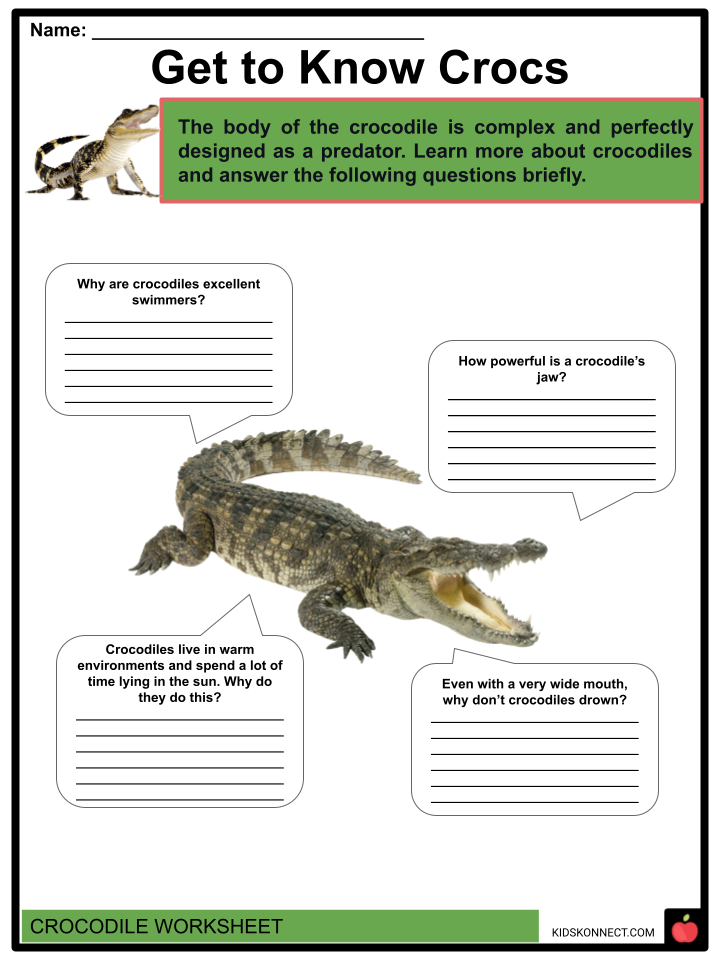 essay on crocodile for grade 1