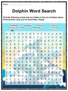Dolphin Types Chart