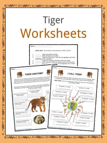 Tiger Worksheets