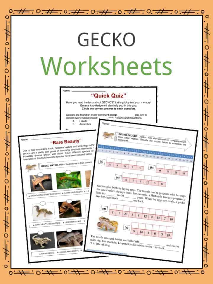 Gecko Facts, Worksheets, Species, Habitat & Information For Kids