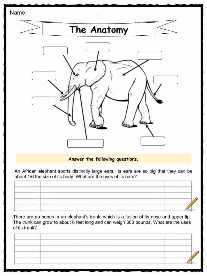 elephant-facts-worksheets-habitat-and-information-for-kids