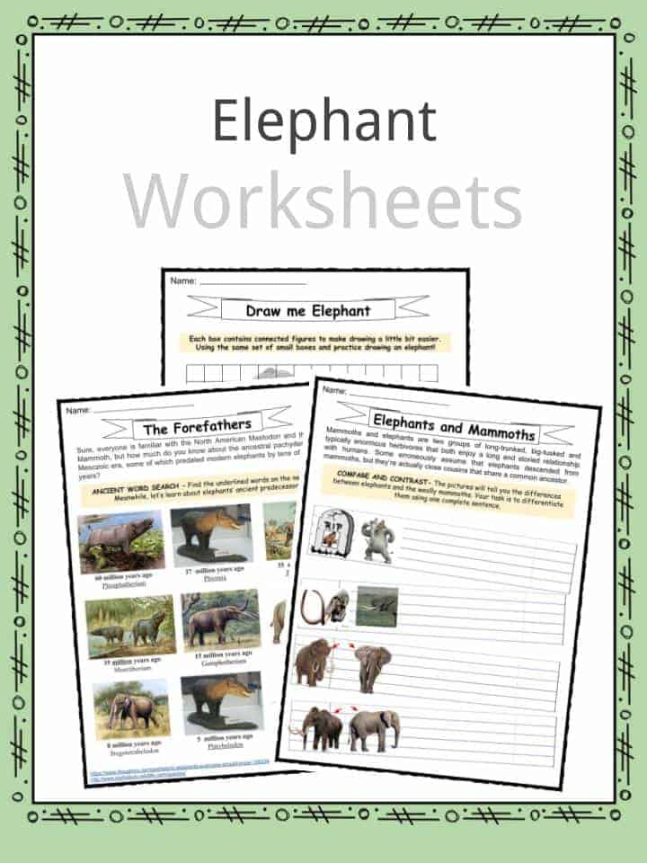 Elephant Facts & Worksheets | Features, Habitat, Species, Info for Kids