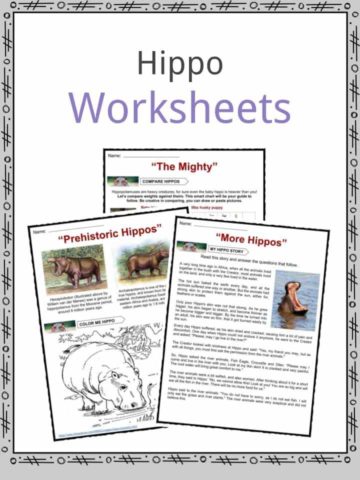 Hippo Worksheets