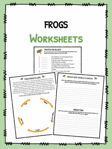 Frogs Worksheets