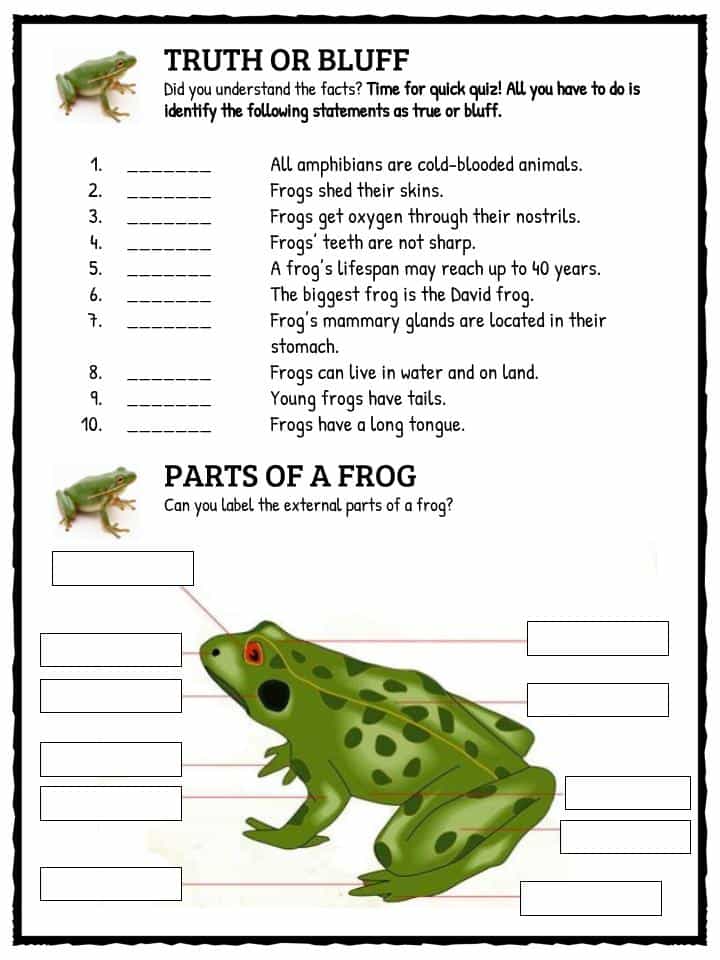 frog-facts-worksheets-information-for-kids