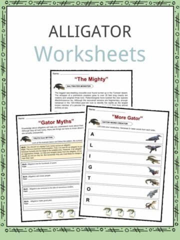 Alligator Worksheets
