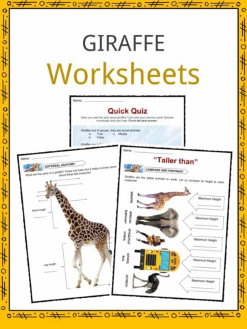 Giraffe Worksheets