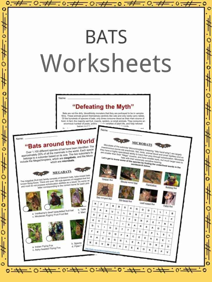 Bat Facts, Habitat, Diet, Symbolism Worksheets & Information For Kids
