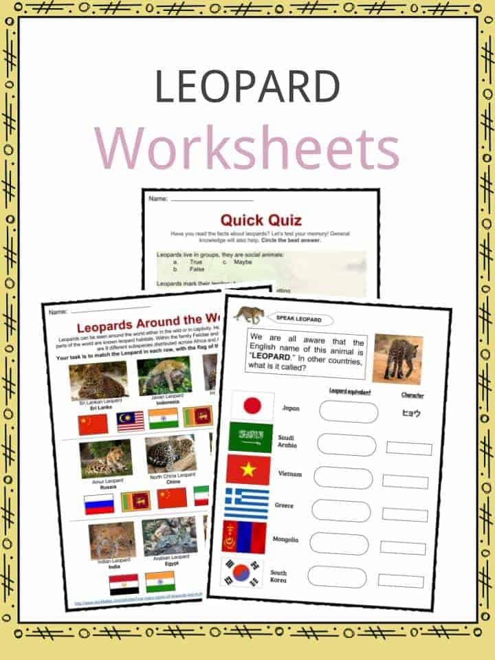 Leopard Worksheets