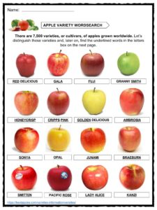 Apple Variety Comparison Chart