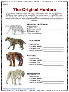 Cat Facts, Worksheets, Species, Diet & Information For Kids
