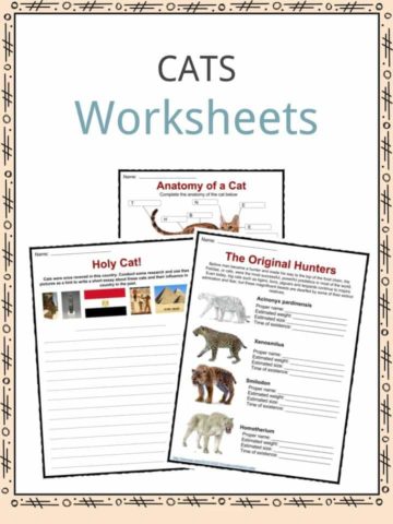Cats Worksheets