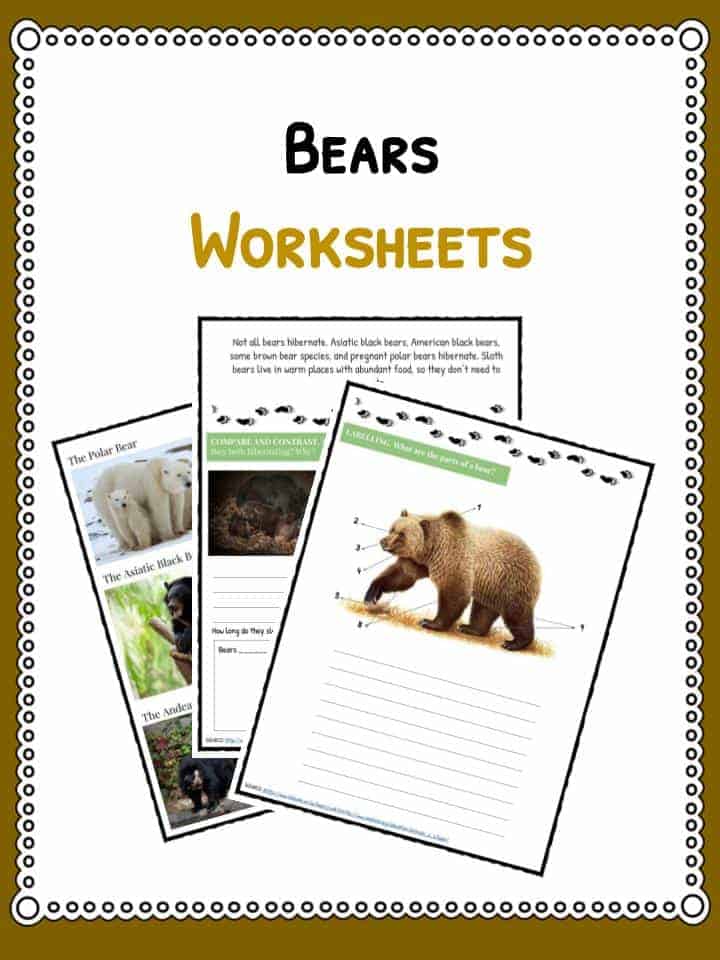 why-did-the-grizzly-go-on-a-diet-math-worksheet-math-worksheets-grade-5