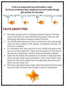 my pet fish paragraph