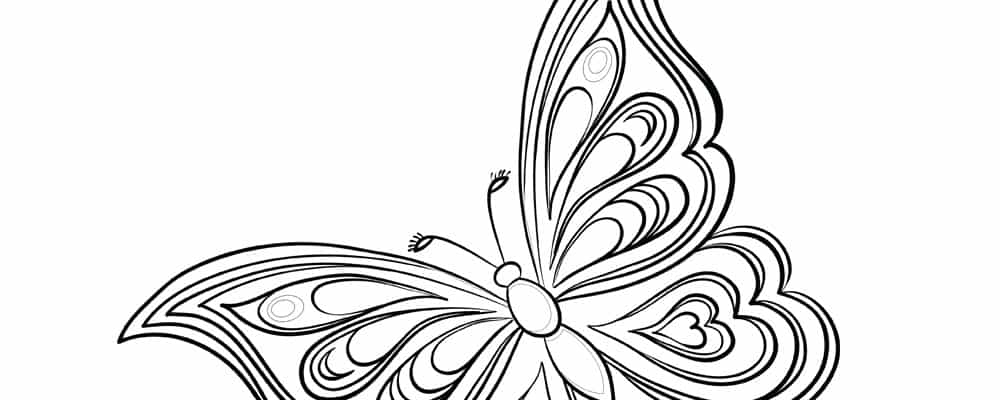 Detailed Butterfly Coloring Page - Free PDF Worksheet