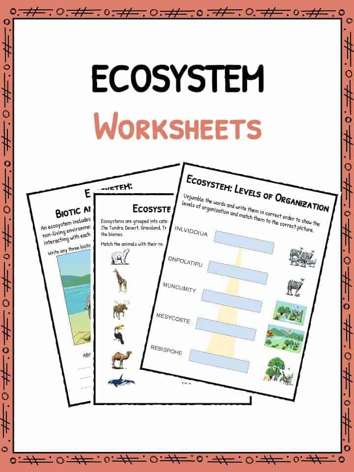 Free Printable Ecosystem Worksheets Pdf