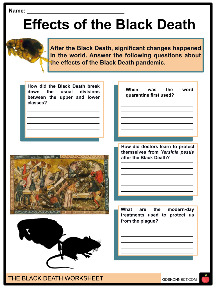 essay of the black death