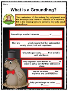 Groundhog Day Worksheets Facts Historic Information For Kids