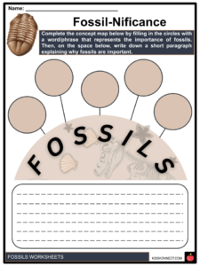 Fossil Worksheets