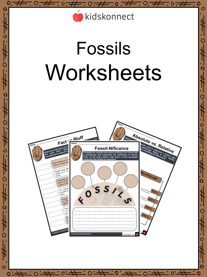 fossil-facts-worksheets-formation-findings-importance-to-science