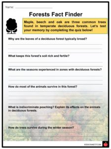 Deciduous Forest Biome Facts, Worksheets & Information For Kids