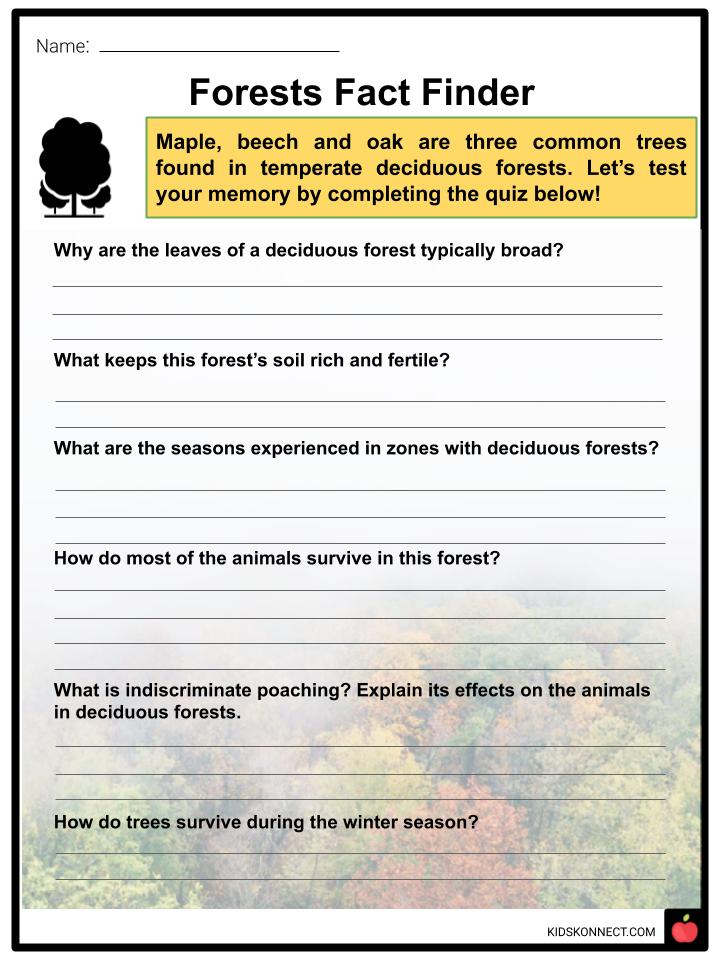 Deciduous Forest Biome Facts Worksheets Information For Kids