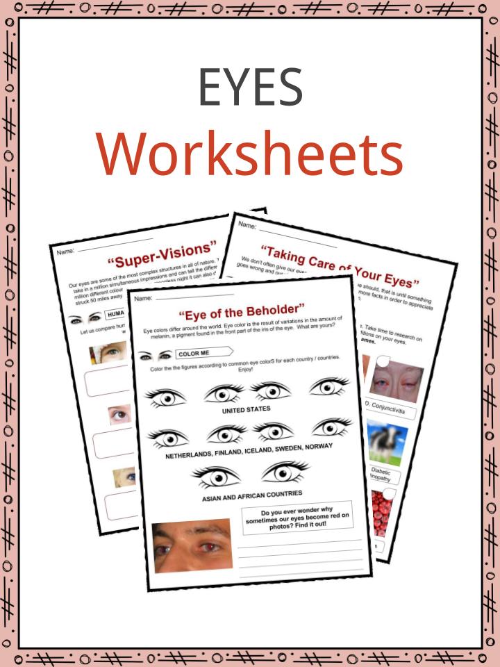 eyes facts worksheets information for kids