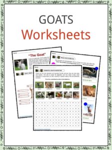 Goat Facts, Worksheets, Diet, Behavior &amp; Uses Information for Kids
