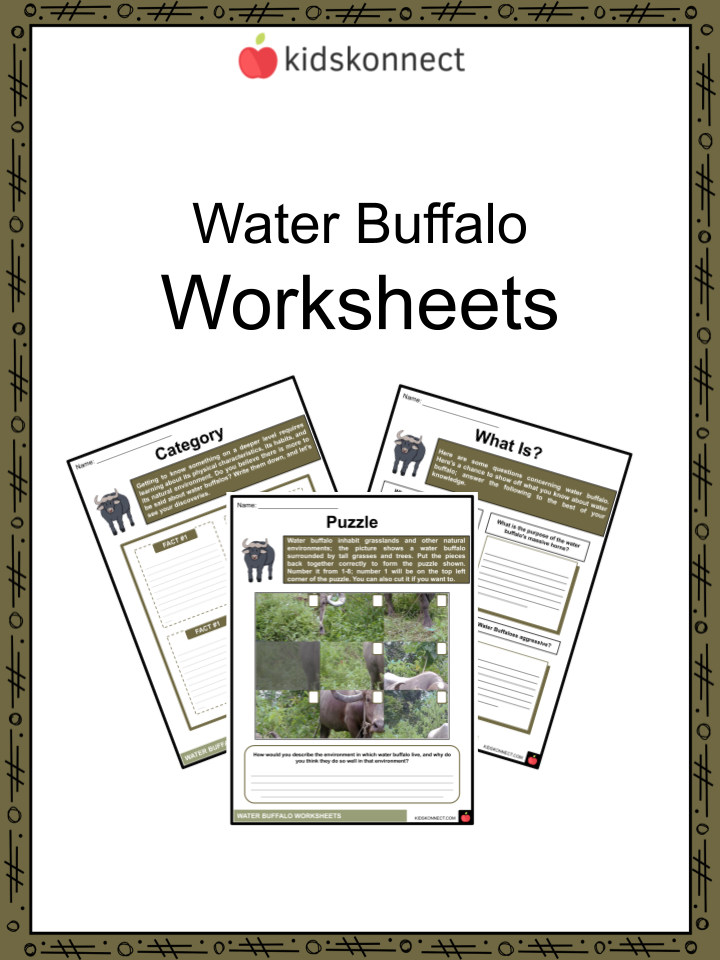 Water Buffalo - Description, Habitat, Image, Diet, and Interesting Facts