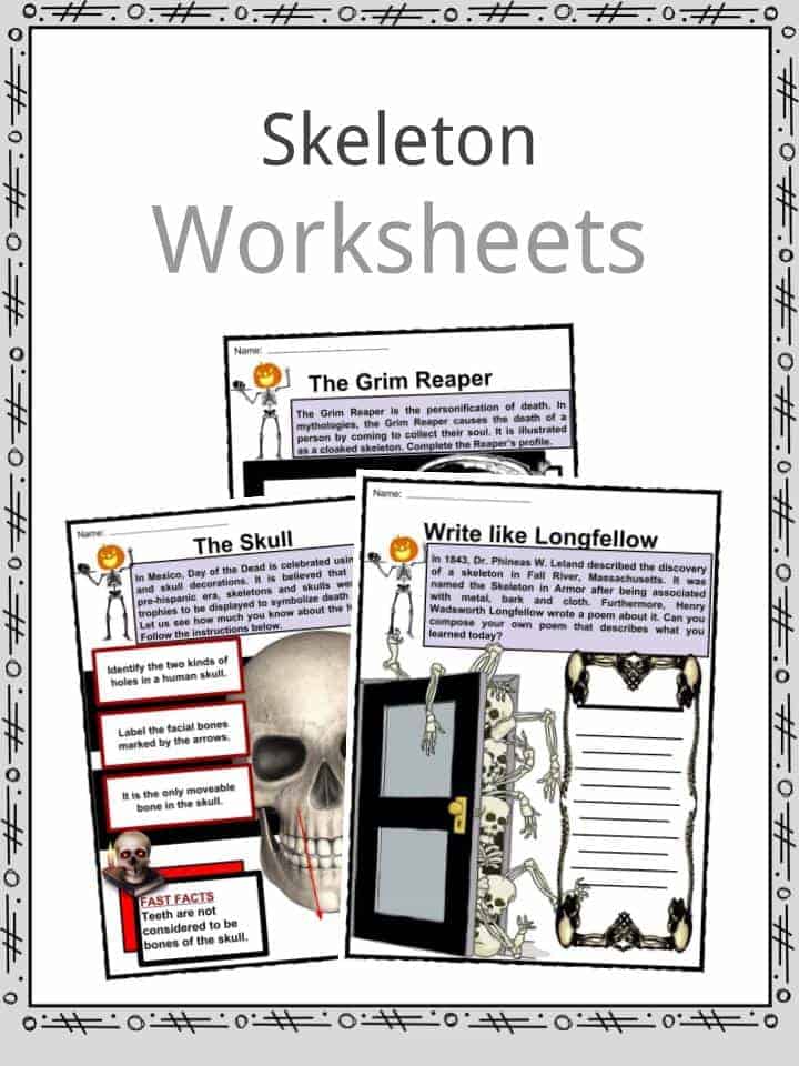 Skeleton Worksheets