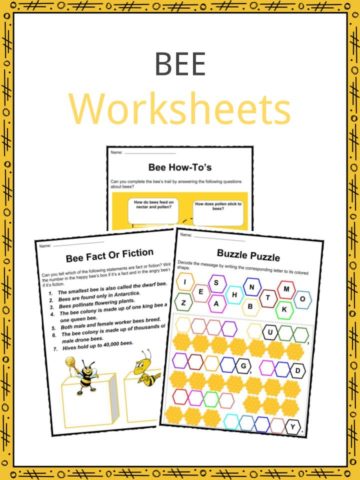Bee Worksheets