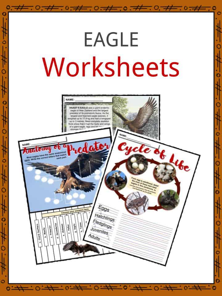 EAGLE Worksheets