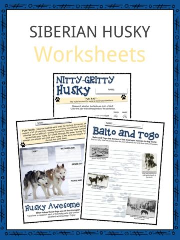 SIBERIAN HUSKY Worksheets
