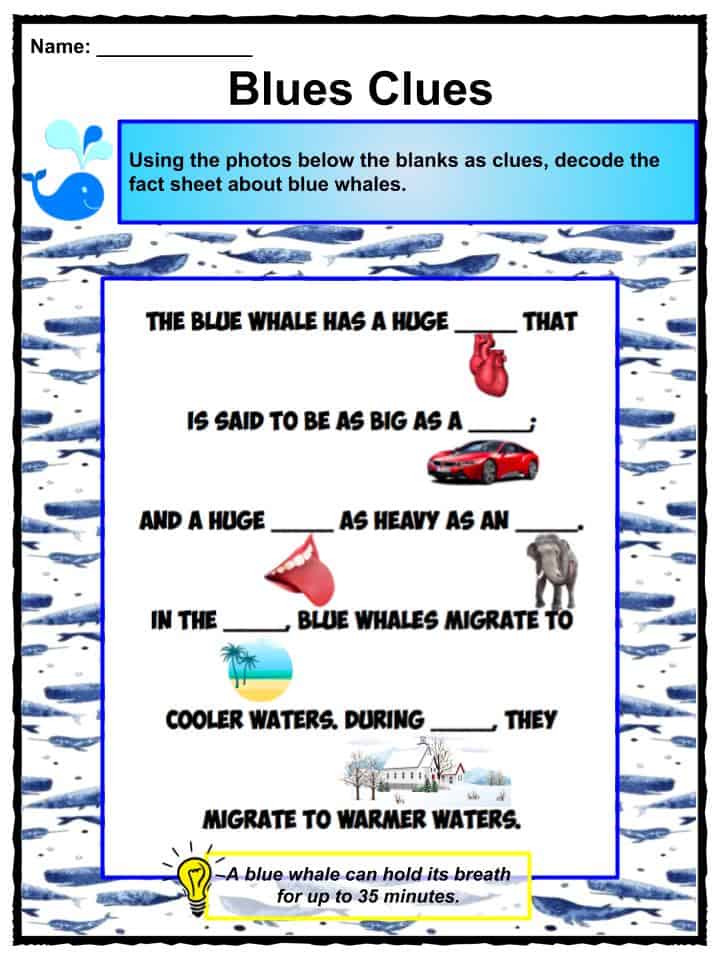 Blue Whale Facts Worksheets Habitat Diet Information For Kids