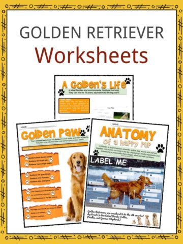 GOLDEN RETRIEVER Worksheets