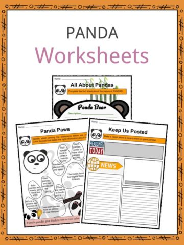 Panda Worksheets