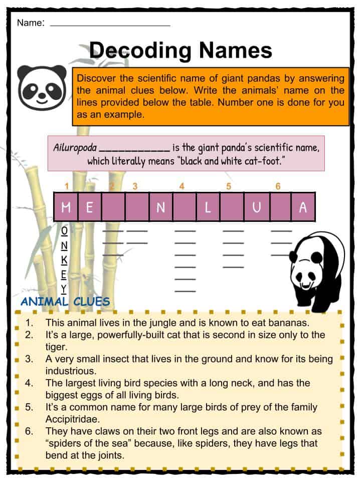 panda-facts-worksheets-diet-habitat-behavior-historic-info-for-kids