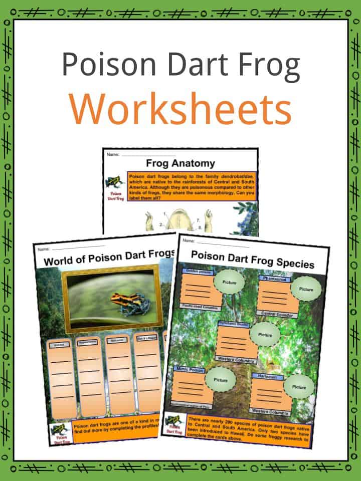 Poison Dart Frog Worksheets