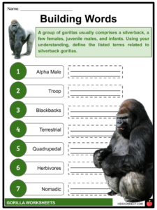 Gorilla Worksheets &amp; Facts | Habitat, Diet, Appearance, Status