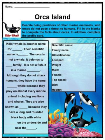 Killer Whale, Orca Worksheets for Kids | Features, Pop Culture & More!