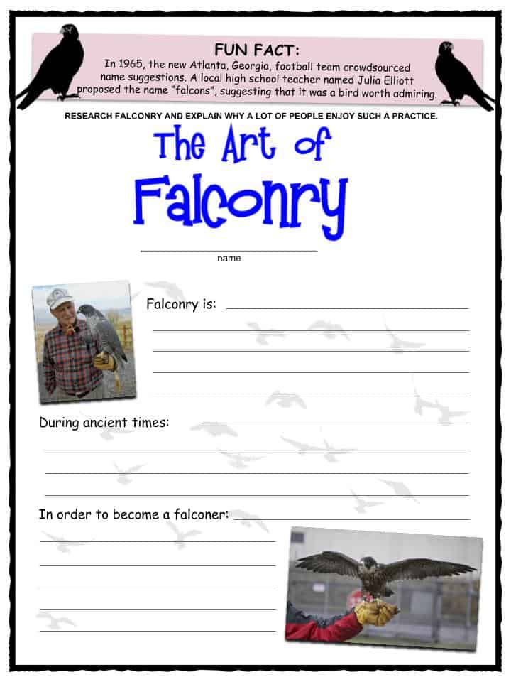 Peregrine Falcon Facts, Worksheets, Lifespan, Size & Habitat For Kids