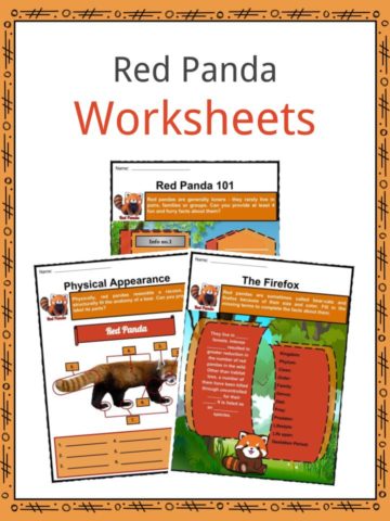 Red Panda Worksheets